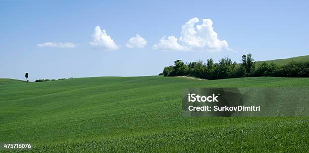 Agricultural Landscape Stock Photo - Download Image Now - 2015, Agricultural Field, Agriculture