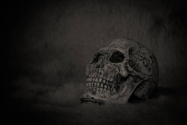 istock Still life skull on black background 475725138