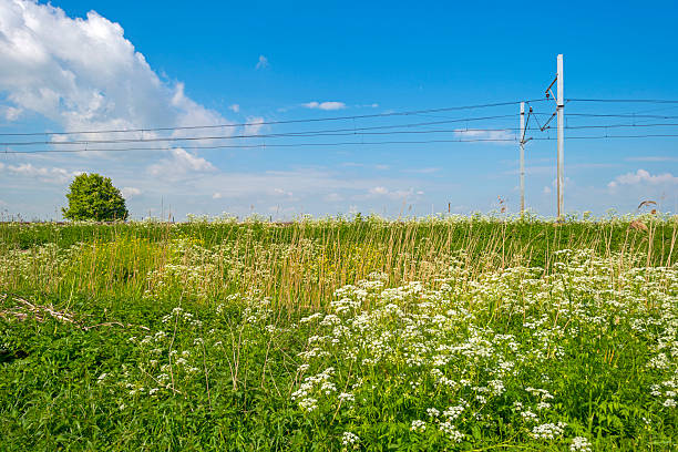 Railroad through a sunny landscape in spring