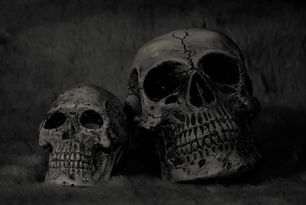 istock Still Life with a Skull concept on the art 475725756