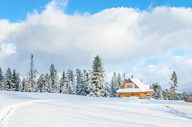istock Wooden house with road under the snow 475725828