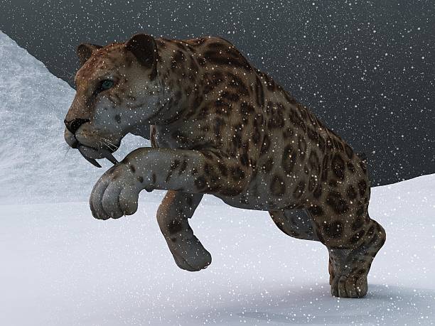 Sabre-toothed tiger in ice age blizzard stock photo