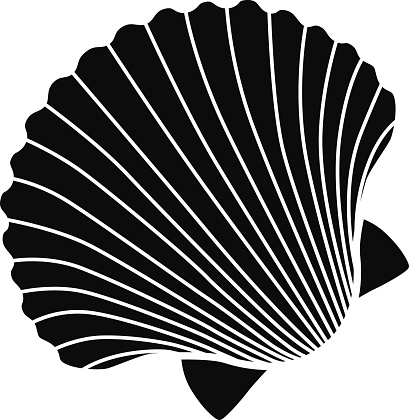 vector scallop shell icon stencil in black and white