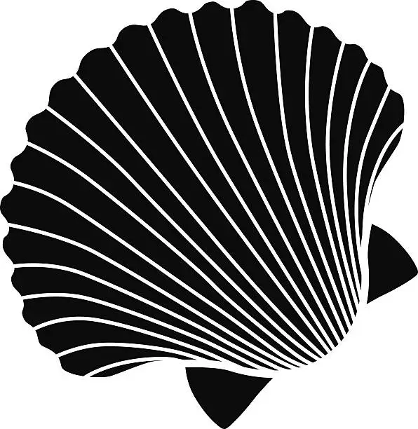 Vector illustration of vector scallop shell icon stencil in black and white