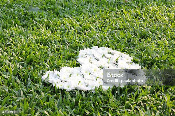 Heart Made From Daisy Flowers Stock Photo - Download Image Now - 2015, Abstract, Agricultural Field