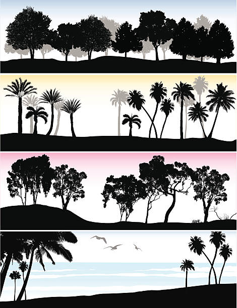 Treeline Ocean A vector silhouette illustration of trees on different coloured gradient backgrounds. Different varieties of trees include deciduous, palm, and desert trees on red, yellow, blue and oceanside backgrounds. eucalyptus tree silhouette stock illustrations