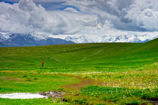 hike, hiking, high, one person, single, isolation, loneliness, mountain, hill, ground, Spring, Landscape, Flower, Field, Meadow, Sky, Summer, Nature, Grass, Green, Beautiful, Skyline, Environment, Land, Blue, Wide, Plain, Rural Scene, Non-Urban Scene, Beauty In Nature, Pasture, Cloud, Colors, Idyllic, Clear Sky, Freshness, Blooming Blossom, Xinjiang, China, Chinese, Asian, yellow skin, Hong Kong, Taiwan, Japanese, Korean