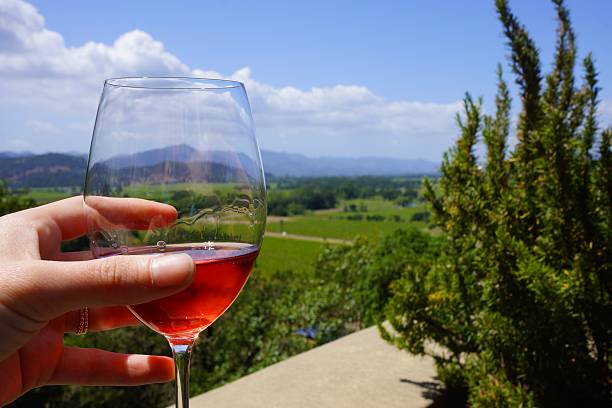 Wine Glass in Napa Valley Vineyards