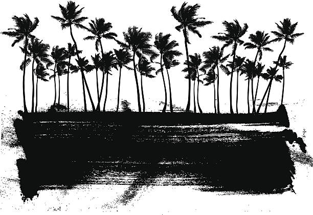 grunge summer banner with beauty palms vector art illustration