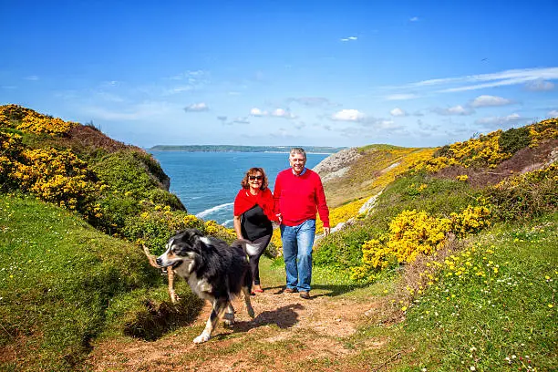 Mature senior couple relaxing on coastal headland with their dog