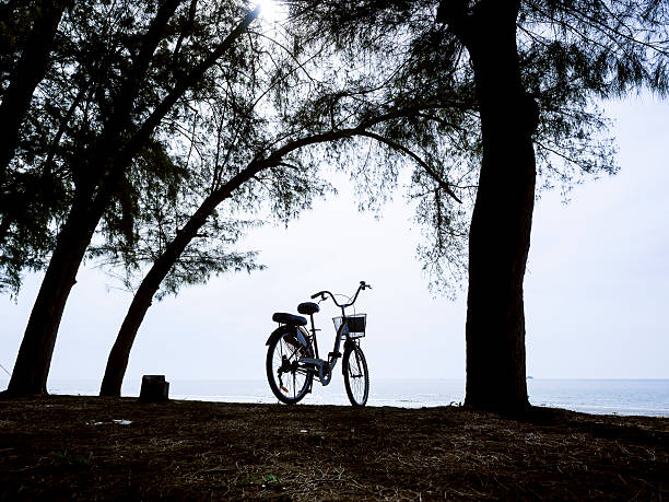 istock bicycle silhouette on a sunset. Summer landscape 475738118