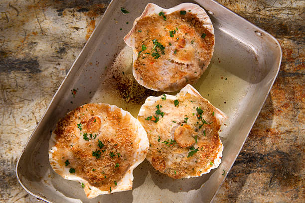 Scallops au gratin Presentation of scallops au gratin baked with parsley seafood gratin stock pictures, royalty-free photos & images