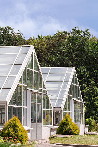 istock garden greenhouse 475744756
