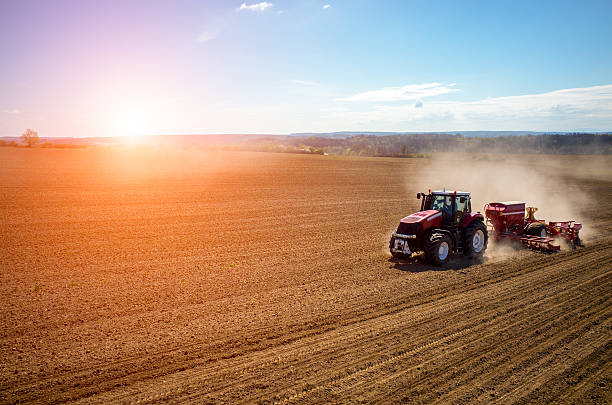 Aerial view of the sunset above the field stock photo