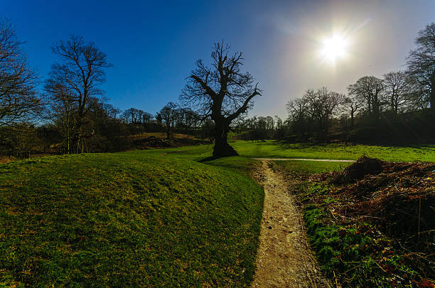 Sunny country landscape stock photo