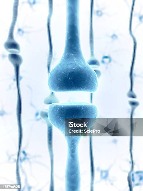 Receptor - zdjęcia stockowe i więcej obrazów Białe tło - Białe tło, Komórka nerwowa, Synapsa