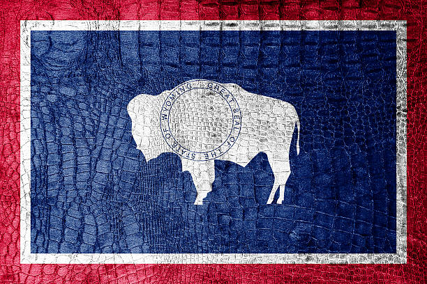istock Wyoming State Flag painted on luxury crocodile texture 475749867