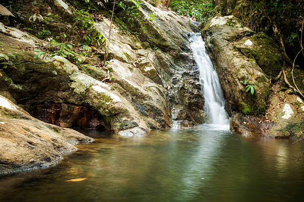 istock Jungle trekking on Koh Phangan 475752040