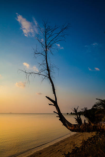 istock Sunset on Koh Phangan island 475752378