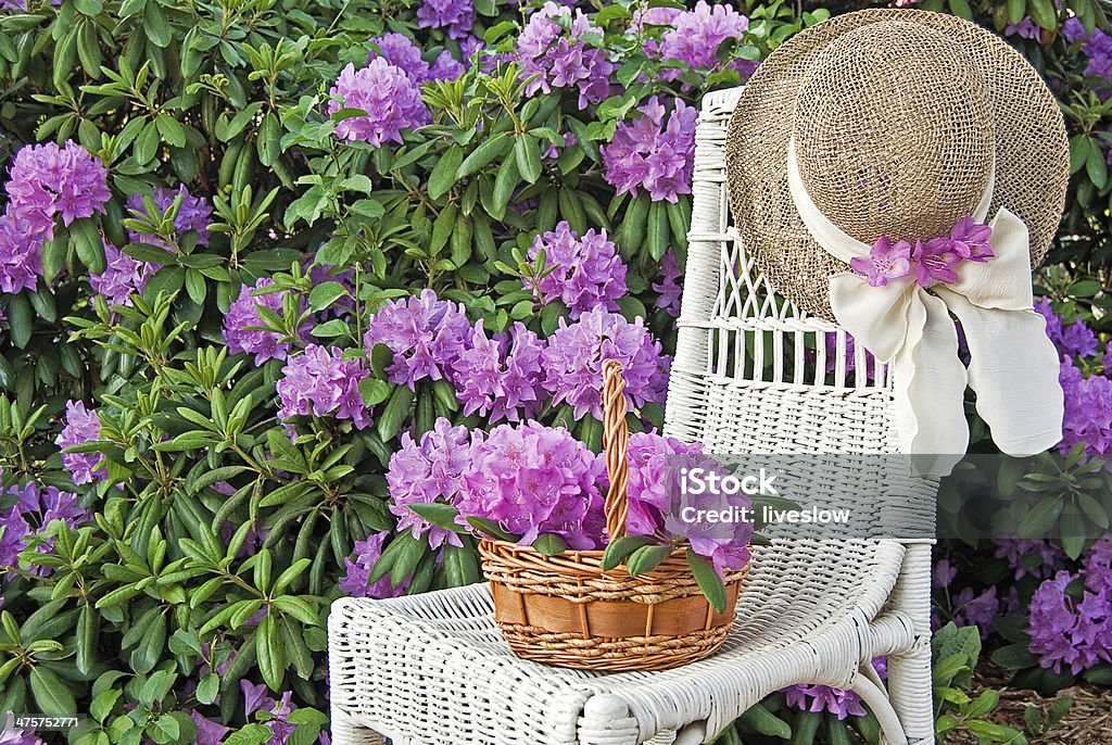 hat on chair in azalea garden Hat on white wicker chair with azalea bouquet in basket. Azalea Stock Photo
