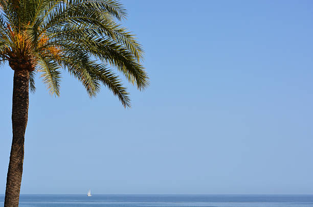 istock the sea from estepona 475757561