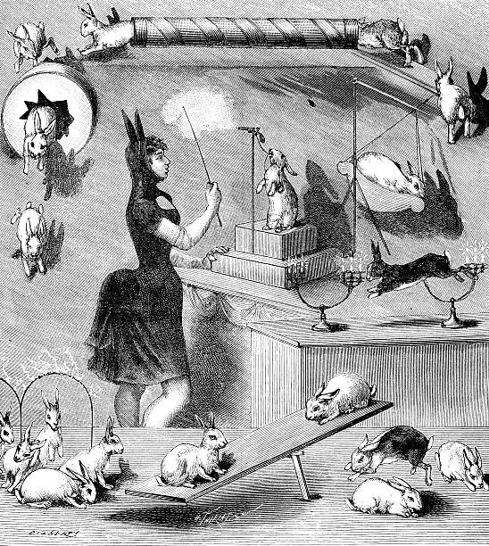 Antique illustration of rabbit circus