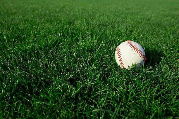 Baseball on field of grass Baseball on field of grass baseball threads stock pictures, royalty-free photos & images