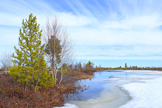 Free picture: Springtime on lakeside with melting ice on water surface