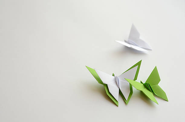 Green and white butterflies on white background