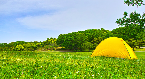 Grassland and tent