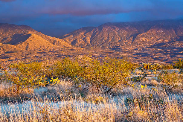 istock Santa Catalina Desert 475775590