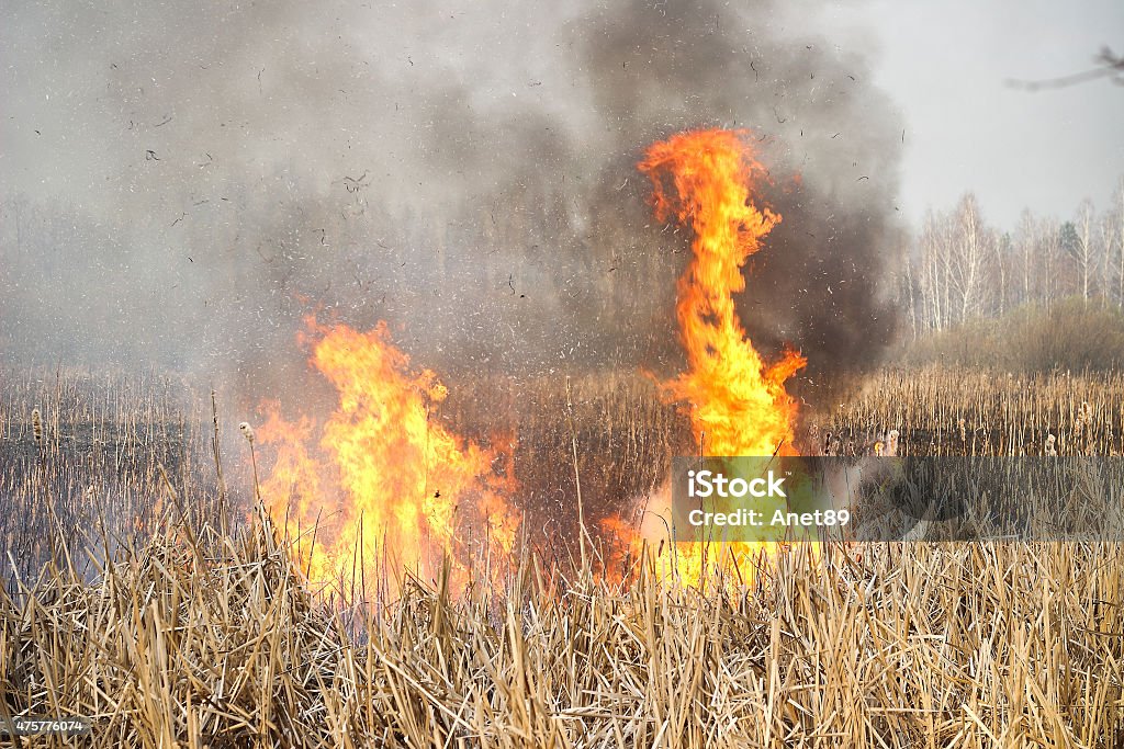 Grass Rfire Grass Fire Stock Photo - Download Image Now - 2015, Accidents and ...