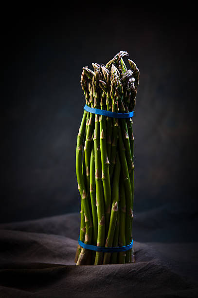 Asparagus in studio stock photo