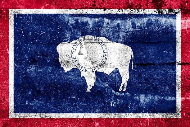 istock Wyoming State Flag painted on grunge wall 475776377