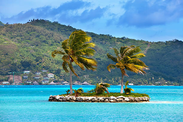 istock Palm trees on tropical island at ocean 475776586