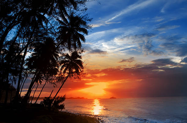 istock Palm trees silhouette and a sunset over the sea 475776600