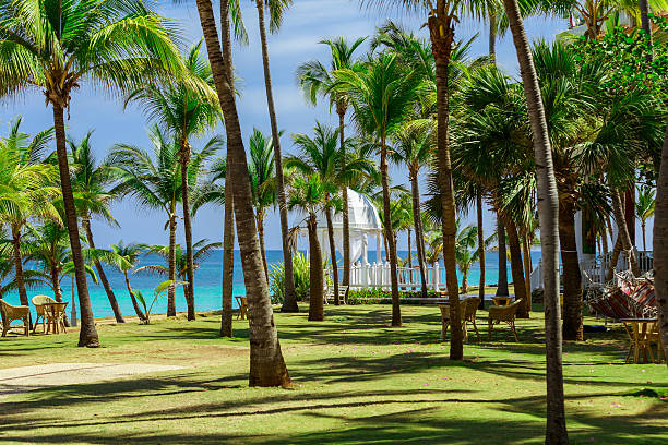 istock gorgeous tropical garden with white gazebo and tranquil ocean background 475776866
