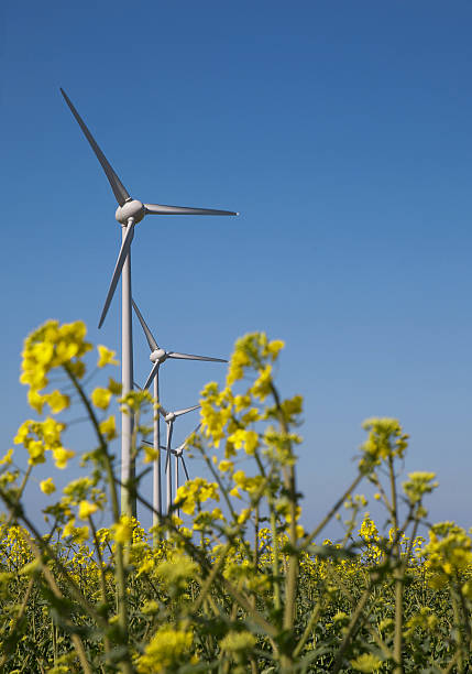 istock Wind turbines in lincolnshire 475778893