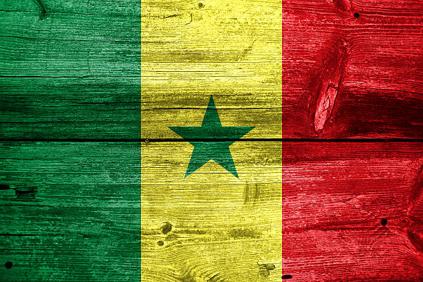 istock Senegal Flag painted on old wood plank texture 475780979