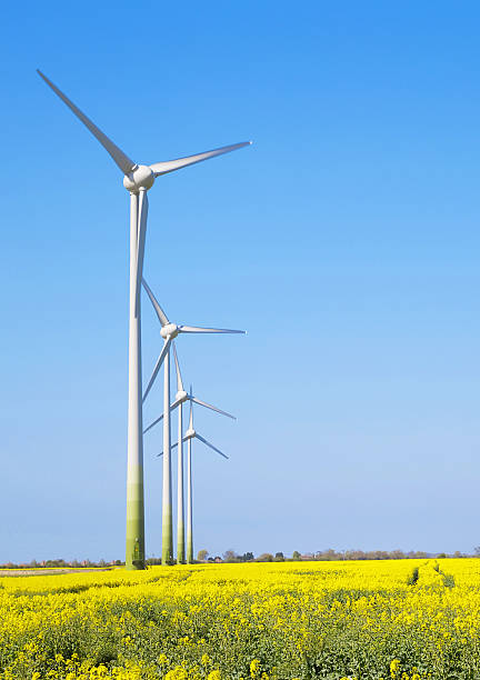 istock Wind turbines in a line 475781161
