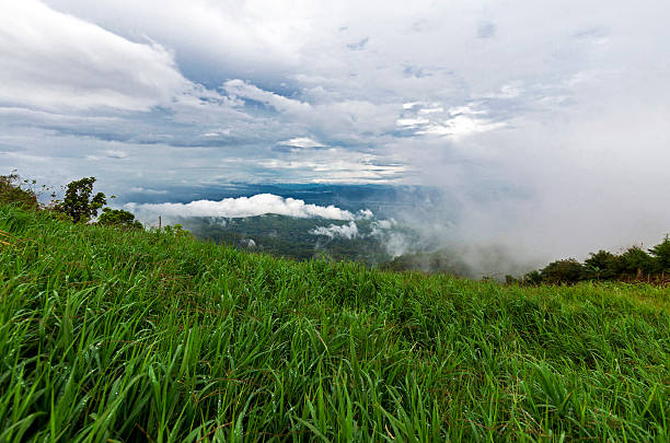 Photo of Plantation field on peak in Thailand