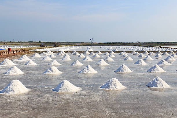 istock pile of salt 475786155