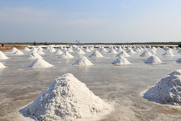istock pile of salt 475786163