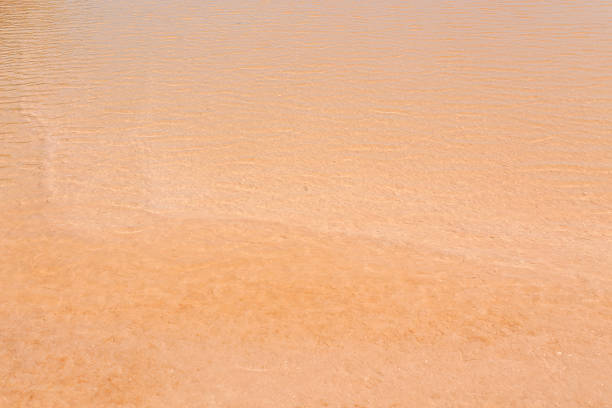 salt dans un bassin d'eau salée sec et fissuré - torrid photos et images de collection