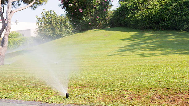 istock Outdoor sprinkler 475787680
