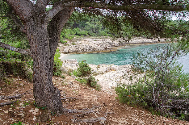 istock Seashore of Kamenjak cape 475790321