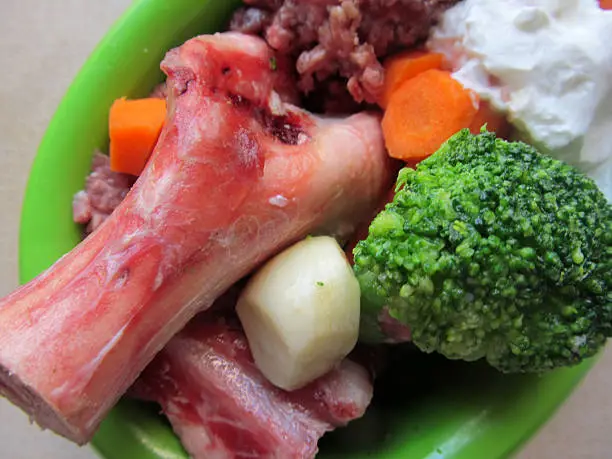 Biologically Appropriate Raw Food for dogs (BARF) balanced meal with fresh bones, minced meat, vegetables and yoghurt 
