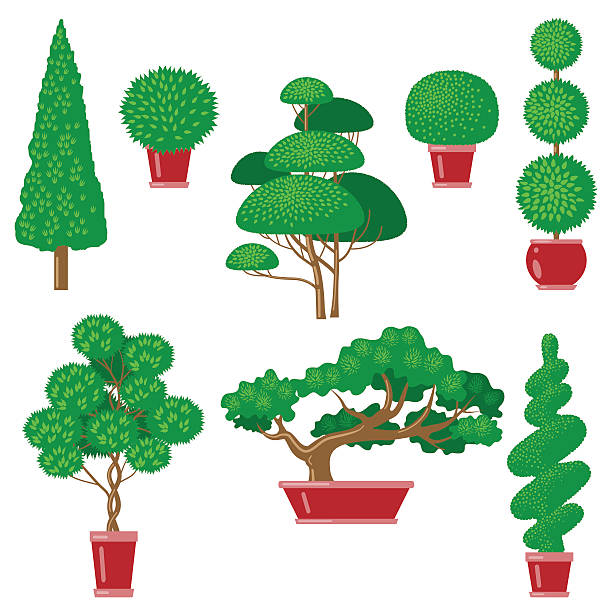 Trees Topiary Set Trees Topiary Set. Collection stylized trees and pot plants for landscaping. topiary stock illustrations