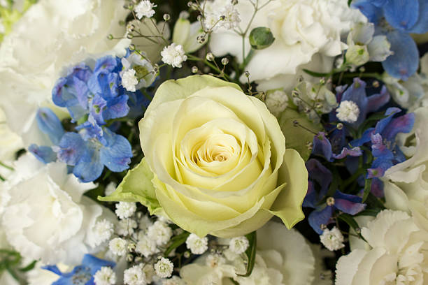 istock White and blue flower bouquet 475791348