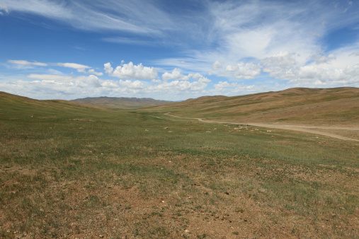 The Mongolian steppe in the Orkhon Valley